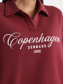 Свитшот DeFacto модель B2207AX-BR115 Фото