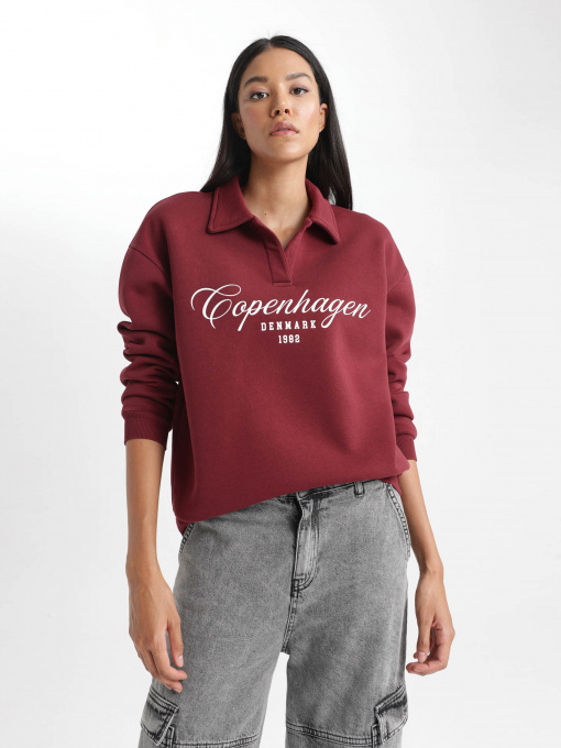 Світшот DeFacto Модель B2207AX-BR115 Фото