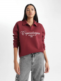 Свитшот DeFacto модель B2207AX-BR115 Фото