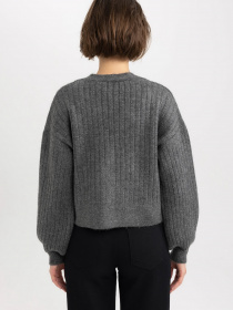 Кардиган DeFacto модель R1389AZ-AR65 Фото