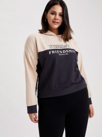 Худи DeFacto модель S1170AZ-AR191 Фото