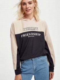 Худи DeFacto модель S1170AZ-AR191 Фото