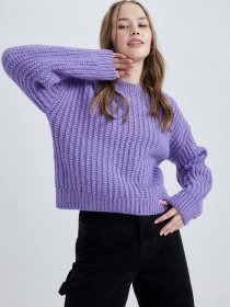 Джемпер DeFacto модель V1811AZ-PR262 Фото