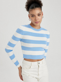 Джемпер DeFacto Модель X6888AZ-BE316 Фото