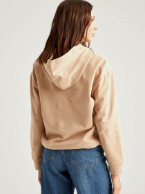 Худі DeFacto модель R4740AZ-BG294 Фото