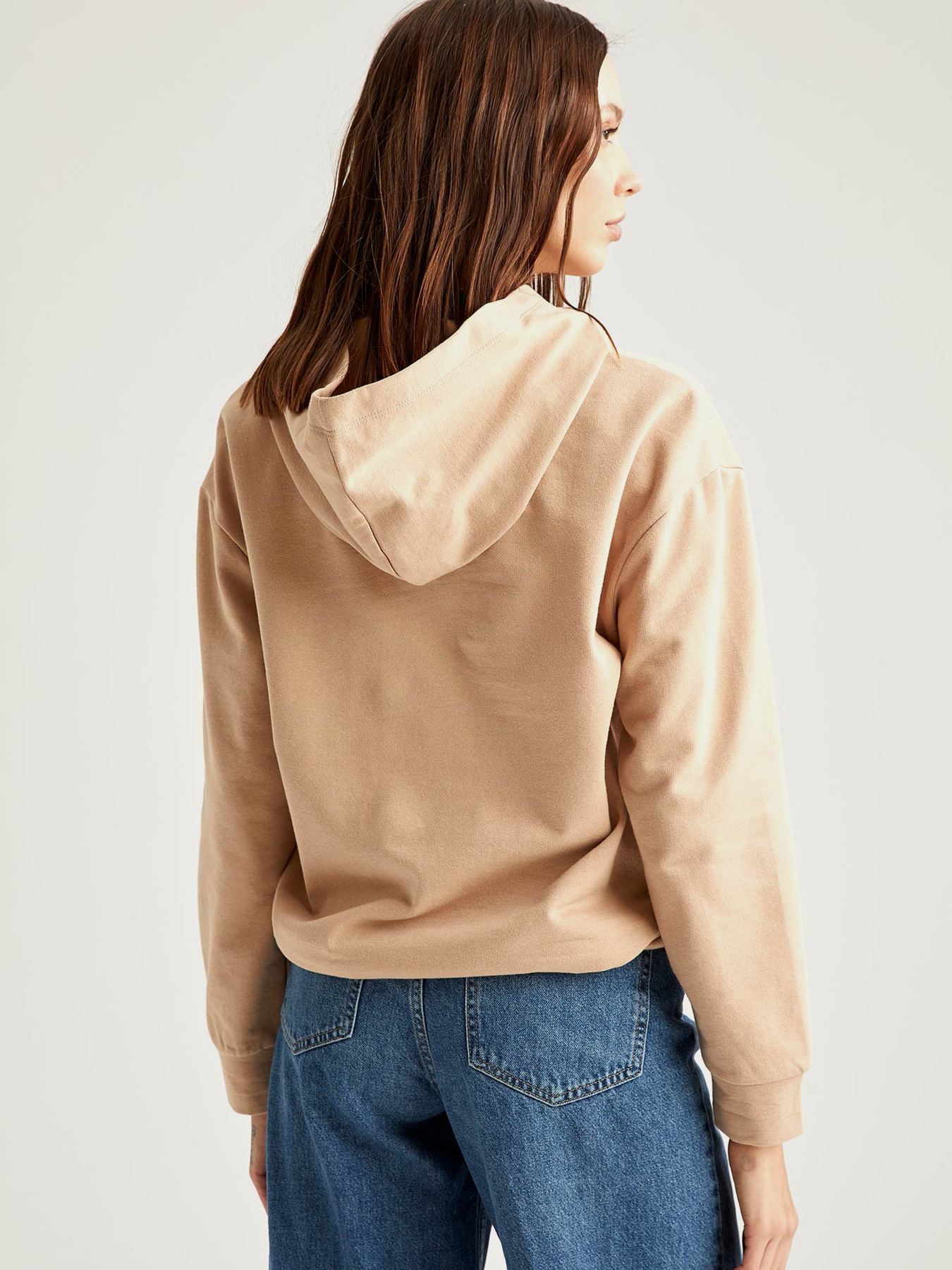 Худі DeFacto модель R4740AZ-BG294 Фото