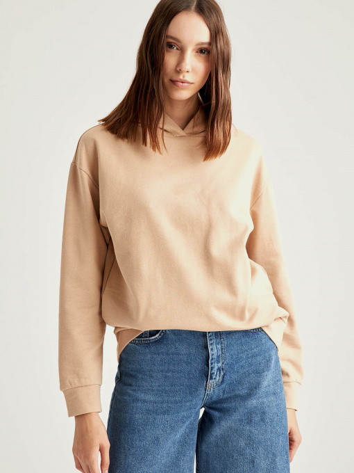 Худі DeFacto модель R4740AZ-BG294 Фото