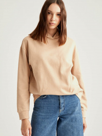 Худі DeFacto модель R4740AZ-BG294 Фото