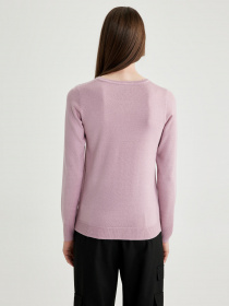 Джемпер DeFacto модель F7091AZ-BR488 Фото