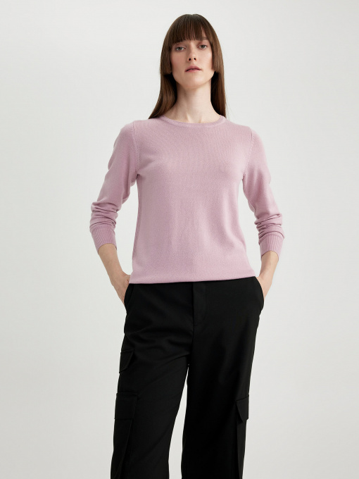 Джемпер DeFacto модель F7091AZ-BR488 Фото