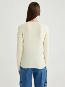 Джемпер DeFacto модель F7091AZ-YL496 Фото