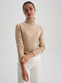 Водолазка DeFacto модель H1651AZ-BG388 Фото