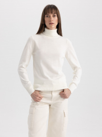 Водолазка DeFacto Модель H1651AZ-ER105 Фото