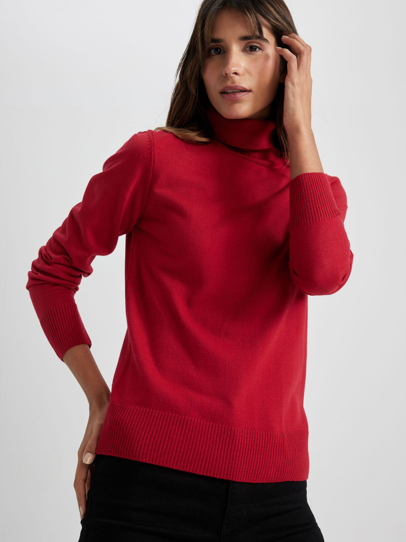 Водолазка DeFacto Модель H1651AZ-RD56 Фото