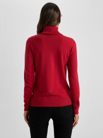 Водолазка DeFacto Модель H1651AZ-RD56 Фото