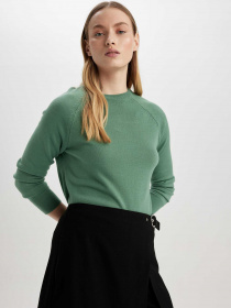 Джемпер DeFacto модель I6913AZ-GN1095 Фото