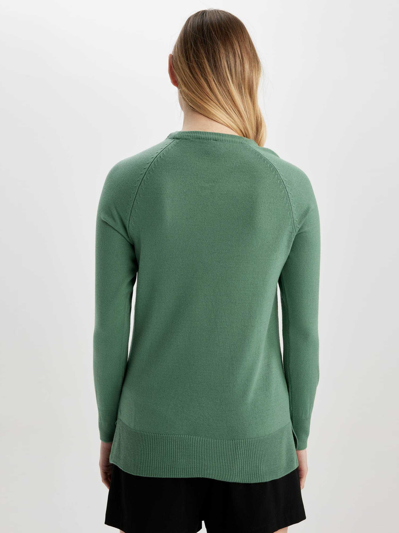 Джемпер DeFacto модель I6913AZ-GN1095 Джемпер DeFacto модель I6913AZ-GN1095 Фото