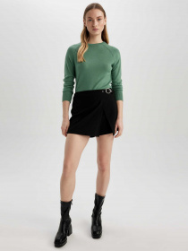 Джемпер DeFacto модель I6913AZ-GN1095 Джемпер DeFacto модель I6913AZ-GN1095 Фото