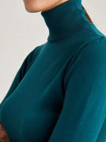 Водолазка DeFacto модель R1479AZ-GN756 Фото