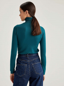 Водолазка DeFacto модель R1479AZ-GN756 Фото