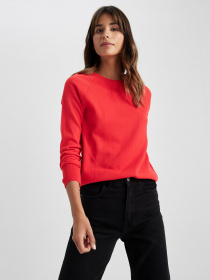 Джемпер DeFacto модель I6913AZ-RD56 Фото