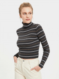 Водолазка DeFacto модель R1480AZ-AR69 Фото