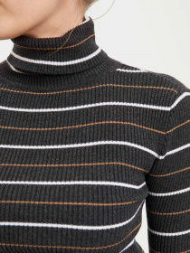 Водолазка DeFacto модель R1480AZ-AR69 Фото