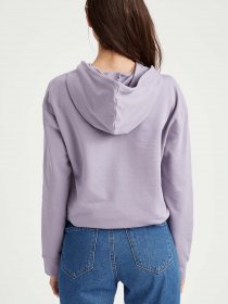 Худи DeFacto модель S8958AZ-PR325 Фото