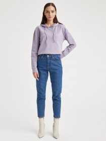 Худи DeFacto модель S8958AZ-PR325 Фото