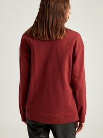 Свитшот DeFacto модель S8959AZ-BR280 Фото