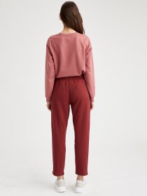 Штаны спортивные DeFacto модель S8962AZ-BR280 Фото