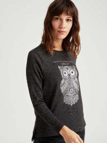 Пуловер DeFacto модель S6628AZ-AR65 Фото