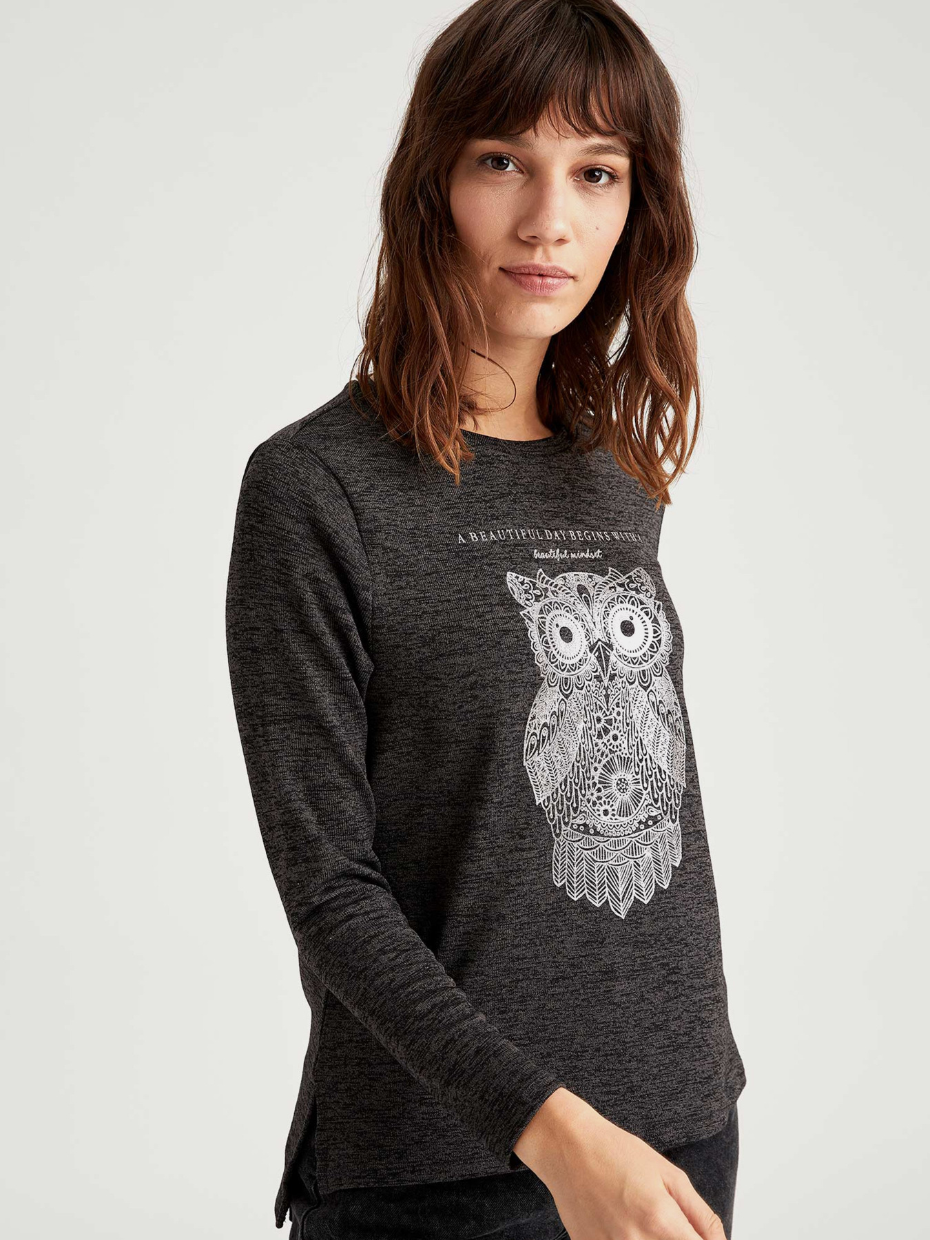 Пуловер DeFacto модель S6628AZ-AR65 Фото