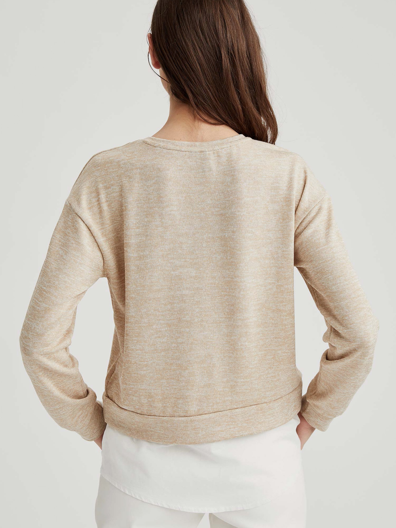 Свитшот DeFacto модель S6630AZ-BG235 Фото