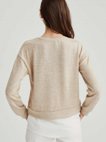 Свитшот DeFacto модель S6630AZ-BG235 Фото