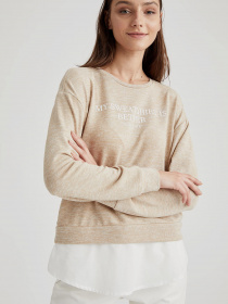 Свитшот DeFacto модель S6630AZ-BG235 Фото