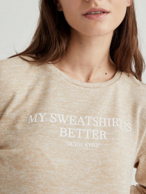 Свитшот DeFacto модель S6630AZ-BG235 Фото