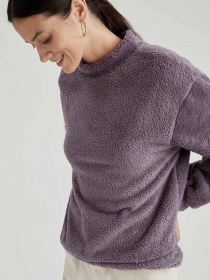 Свитшот DeFacto модель T5693AZ-PR221 Фото