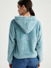 Худі DeFacto модель T5695AZ-TR19 Фото