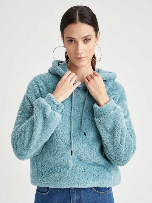 Худи DeFacto модель T5695AZ-TR19 Фото