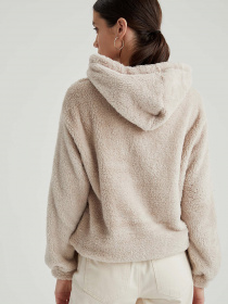 Худі DeFacto модель T5695AZ-ER22 Фото