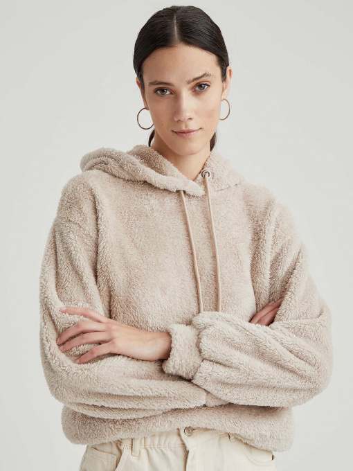 Худі DeFacto модель T5695AZ-ER22 Фото