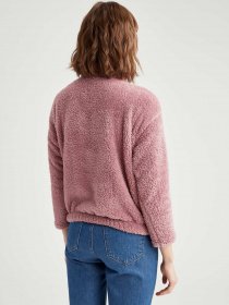 Кофта DeFacto модель T5697AZ-BR26 Фото