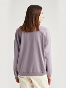 Свитшот DeFacto модель S6527AZ-PR221 Фото