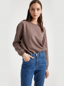 Свитшот DeFacto модель N2201AZ-BG212 Фото