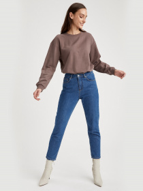 Світшот DeFacto модель N2201AZ-BG212 Фото