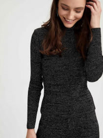 Водолазка DeFacto модель T3361AZ-BK27 Фото