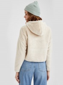 Худи DeFacto модель S7626AZ-BG655 Фото