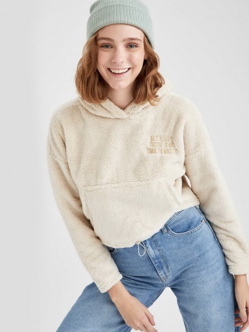 Худі DeFacto модель S7626AZ-BG655 Фото