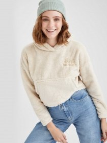 Худи DeFacto модель S7626AZ-BG655 Фото